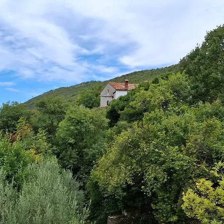 Istrian Vibes 别墅 *